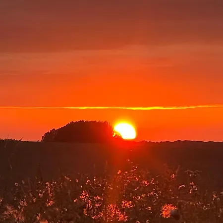 Bartelshagen 1 Lejlighed *