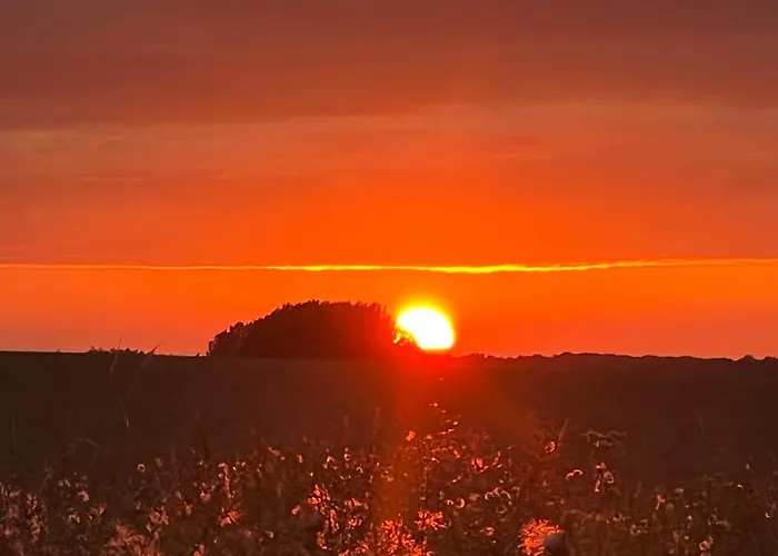 Bartelshagen 1 Lägenhet *